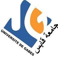 Université de Gabès